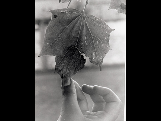 © Maya Davilla, ICP at THE POINT Alumna